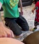 Toddler Punches Mom's Belly