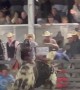 Runaway Bull in the Grandstands