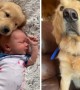 Baby & puppy share precious moments together