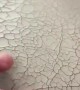 Guy Fixes a Cracked Leather Volvo Seat