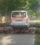 Massive Flock of Ducks Crosses Road