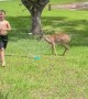 Kids Play With Deer in Sprinkler