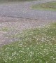 Hailstorm in London, Arkansas