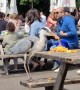 Bird Brazenly Steals Lunch