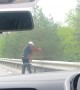 Guy Helps Baby Moose Over Guard Rail to Get Back to Mom