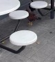 Roosters Gather Outside KFC for Revolt