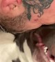 Dog Makes Funny Noises While Getting Kisses From Dad