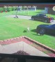 Dad Tackles American Bulldog That Runs Through Door to Protect Front Yard