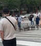 Goslings Guided by People Use Crosswalk
