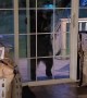 Black Bear Joey Reaching for Motion Sensor Floodlight