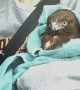 Hurt Hawk Rescued from Road