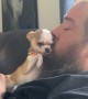 Dolly the Miniature Chihuahua is the Sweetest