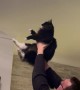 Boyfriend and Cat Working Together to Catch a Moth Fail