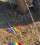 My Pride Flag Was Stolen, So I Covered My Yard in Pride Flags