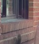 Squirrel Gets a French Fry at the Arby's Drive-Thru