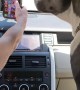 Dog Reminds Owner Not Text and Driver