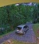 Bear Breaks Into Car Through Window