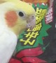 Bird Thinks Chilies on Package Are Real