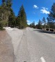Biking Past a Large Bison Herd in Yellowstone