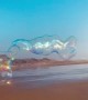 Giant Beach Bubble Creature