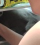 Kitty Cools off in Fridge