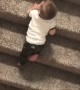 Baby Takes a Tumble Down Stairs