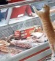 Butcher Gives Visiting Kitty a Generous Treat