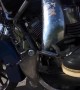 Motorcycle Hits Deer