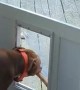 Dog Door Stick Struggles