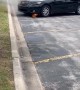 Firefighters Put Out Car Fire