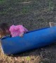 Little girl Slides Down Dirt Hill in Makeshift Sled