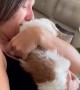 Surprising Partner with New Puppy