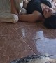 Magali the Calf Lays Down to Cuddle Owner