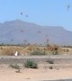 Dust Devil Scrambles Tumbleweeds in Arizona