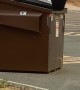 Bear Plops into Dumpster Looking for Food