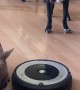 Dog Vomit Gets Instantly Scooped Up by Robot