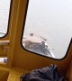 School Boat Rescues Ocelot Struggling to Cross River