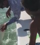 Shark Bites Off Man's Pinky