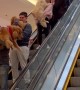 Parade of Golden Retrieves Descend Escalator