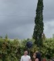 Gender Reveal Balloon Flies Away