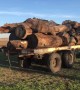Old Toyota Car Turns Out to Be Heavy Hauler
