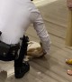 Cat Breaks into Mall For Belly Rubs From Security Guard