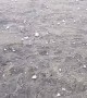 Huge Hail Lands in Alberta
