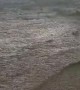 Flood Covers Road in Debris in Arizona