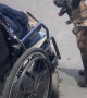 Dog Helps Push Owner in Wheelchair