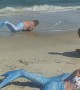 Majestic Merpeople at the Beach