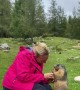 Marmot Eats Carrot From Hiker's Hand