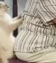 Cat Gives Grandmother a Massage
