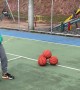 Mesmerizing Stack of Basketballs Roll Together