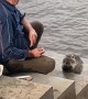 Kind Man Feeds Nutria Potatoes and Watermelon
